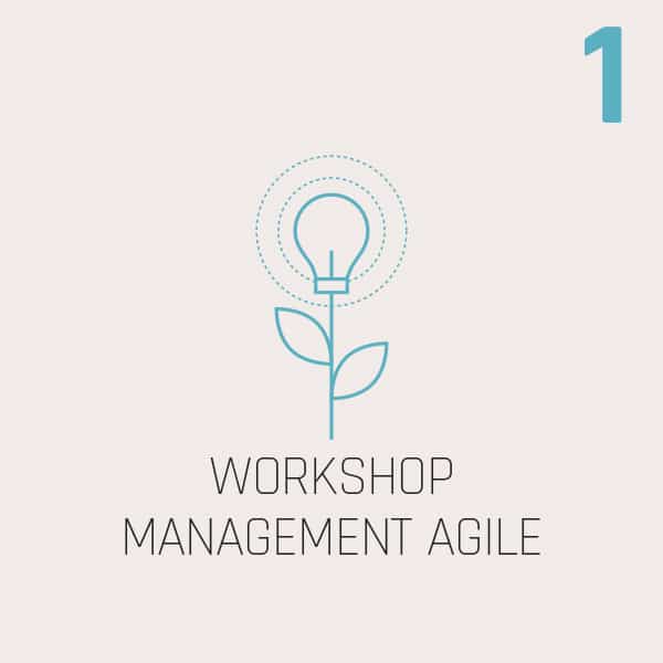 WORKSHOP MANAGEMENT AGILE