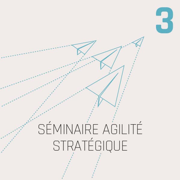 SÉMINAIRE AGILITÉ STRATÉGIQUE