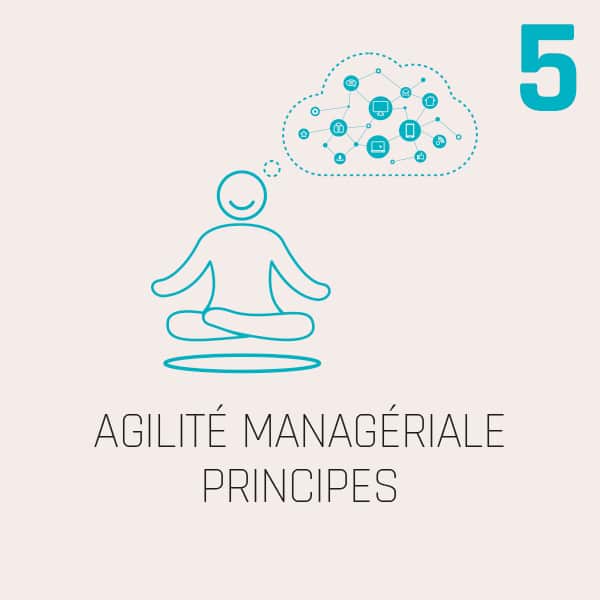 AGILITÉ MANAGÉRIALE PRINCIPES