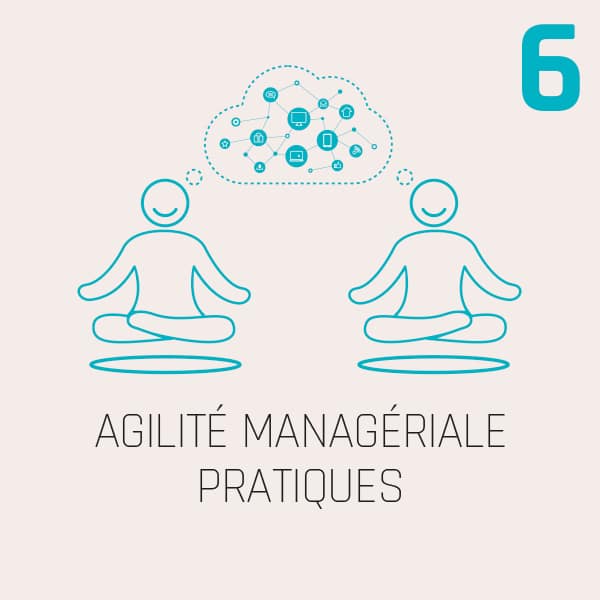 AGILITÉ MANAGÉRIALE PRATIQUES